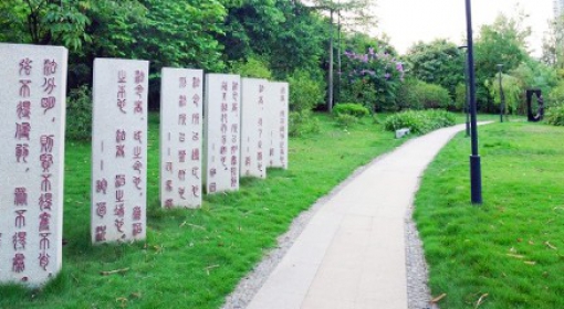金山公园改造提升工程